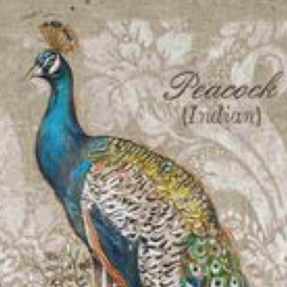 Welcome to the Prancing Peacock Boutique - Picture 7 of 8